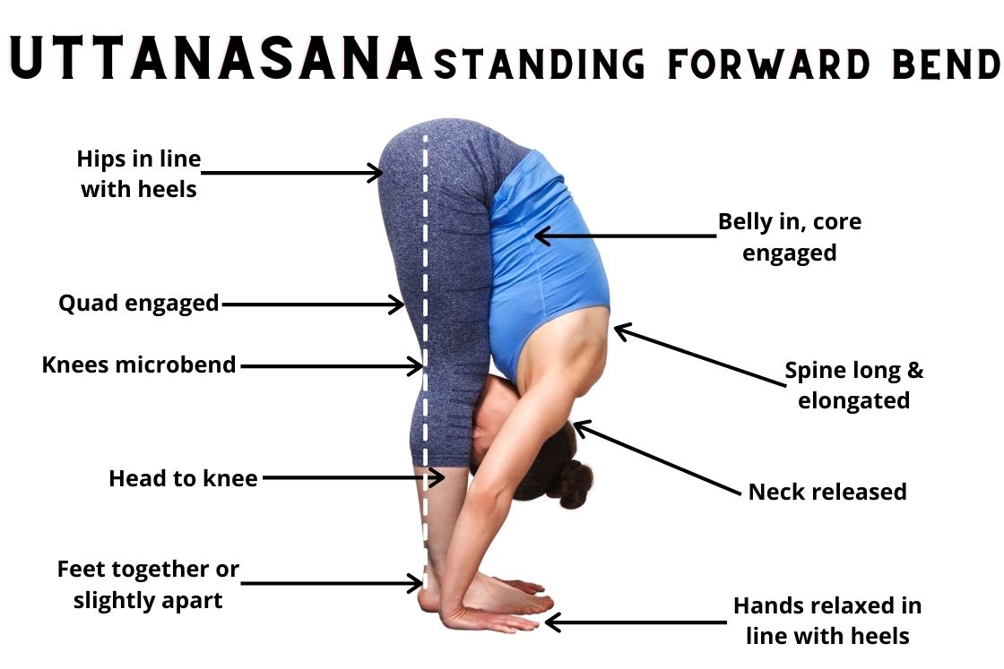 5 varation of Uttanasana – Standing Forward Bend Pose