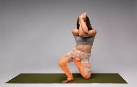 vatayanasana-horse-face-pose