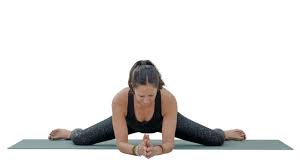 uttana-mandukasana
