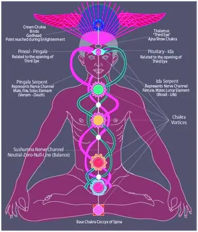 What Is Kundalini Breath Of Balance